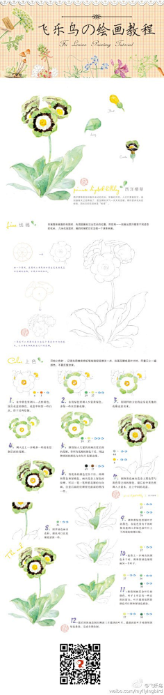 水蓝0采集到水彩教程