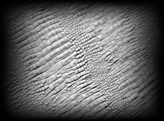 alpha——灰度图