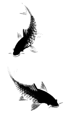 vinha采集到中国风插画