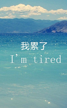 蛋蛋子采集到标志