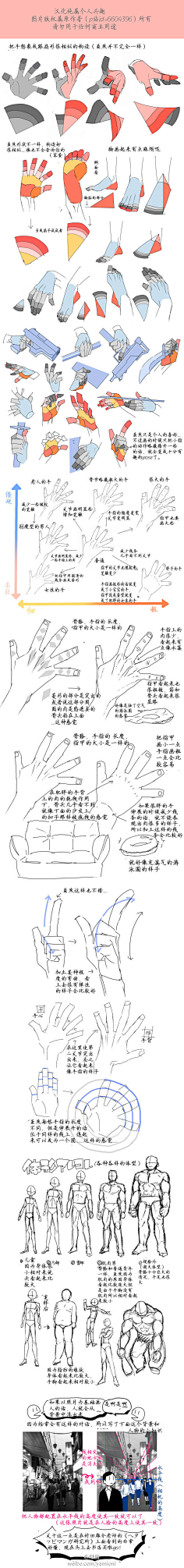 Gein采集到人体-结构-形体