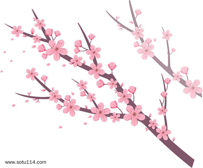 浪漫樱花树手绘插画