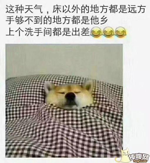pretend8采集到搞笑(非表情)