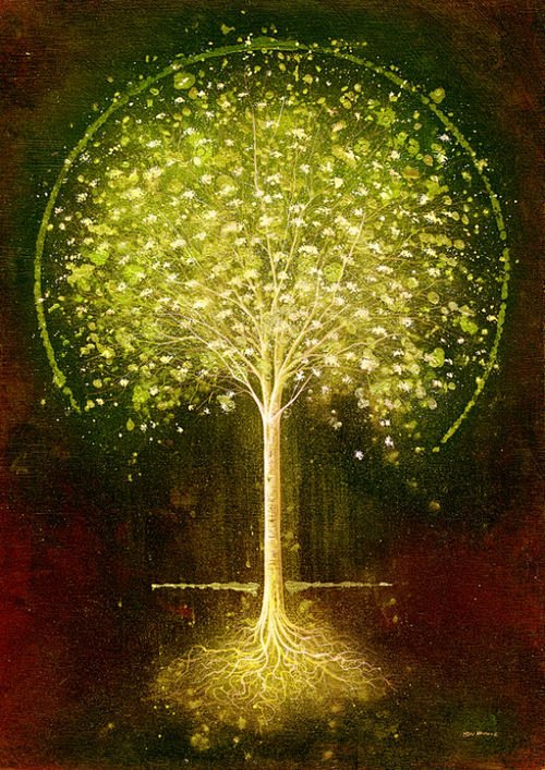 生命之树 超清晰图片