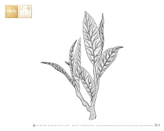 大美·无言采集到插图