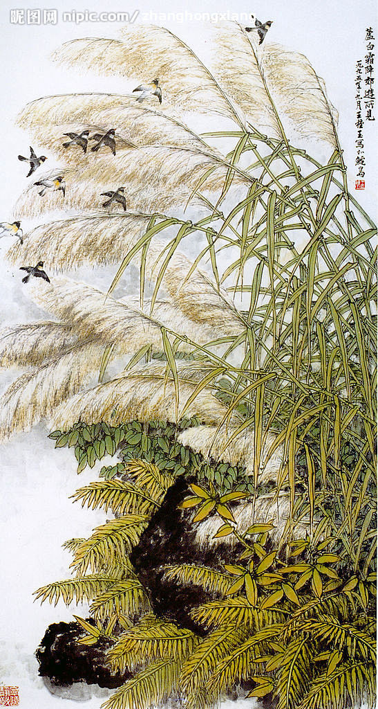 芦白霜降图