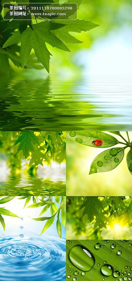 18:19:58水边绿色叶子背景高清图片素材大自然背景nancy/南希同采自