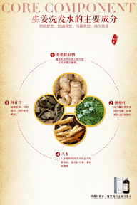 乐mg采集到生姜洗发水