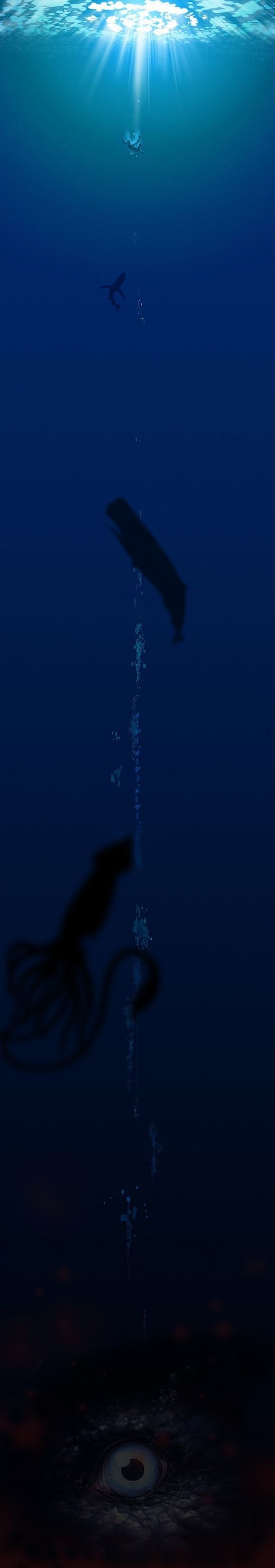 深海恐惧症 终极测试图片