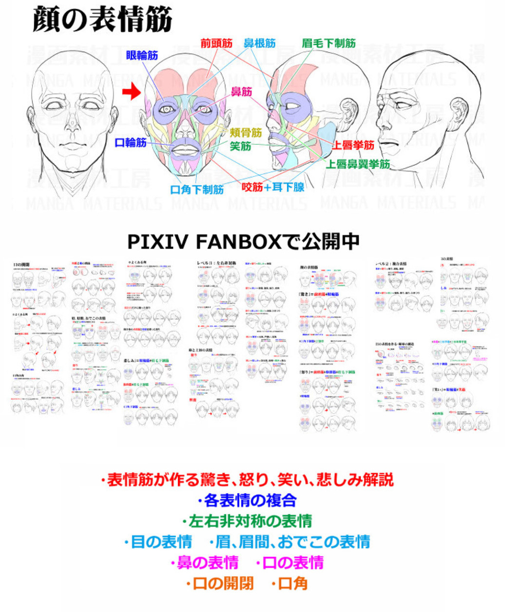 表情の作り方 目と口の表情 表情筋 骨格の考え方 漫画素材工房 の漫画 Pixiv