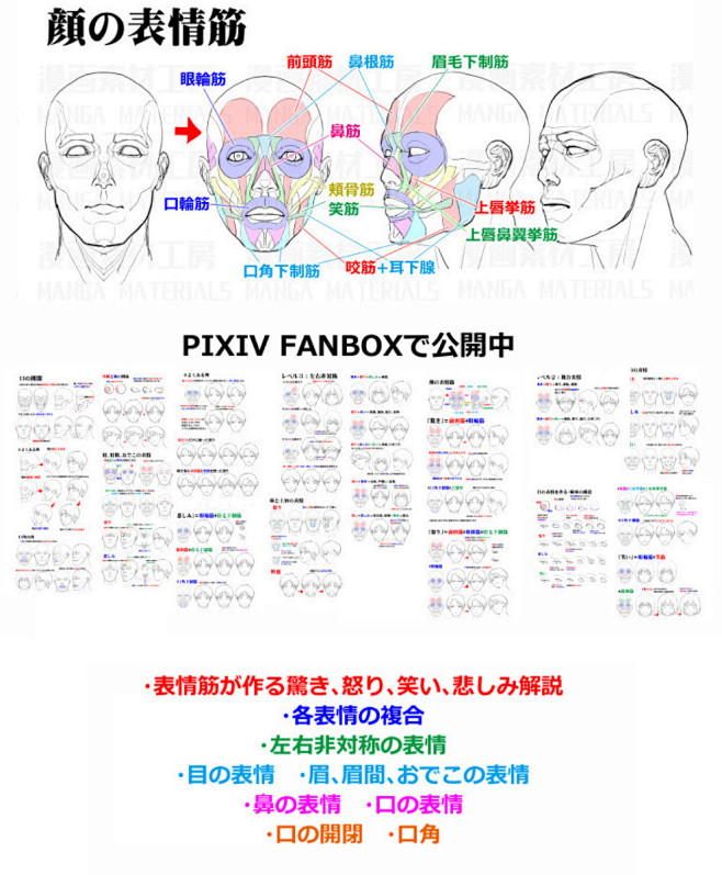 表情の作り方 目と口の表情 表情筋 骨格の考え方 漫画素材工房 の漫画 Pixiv