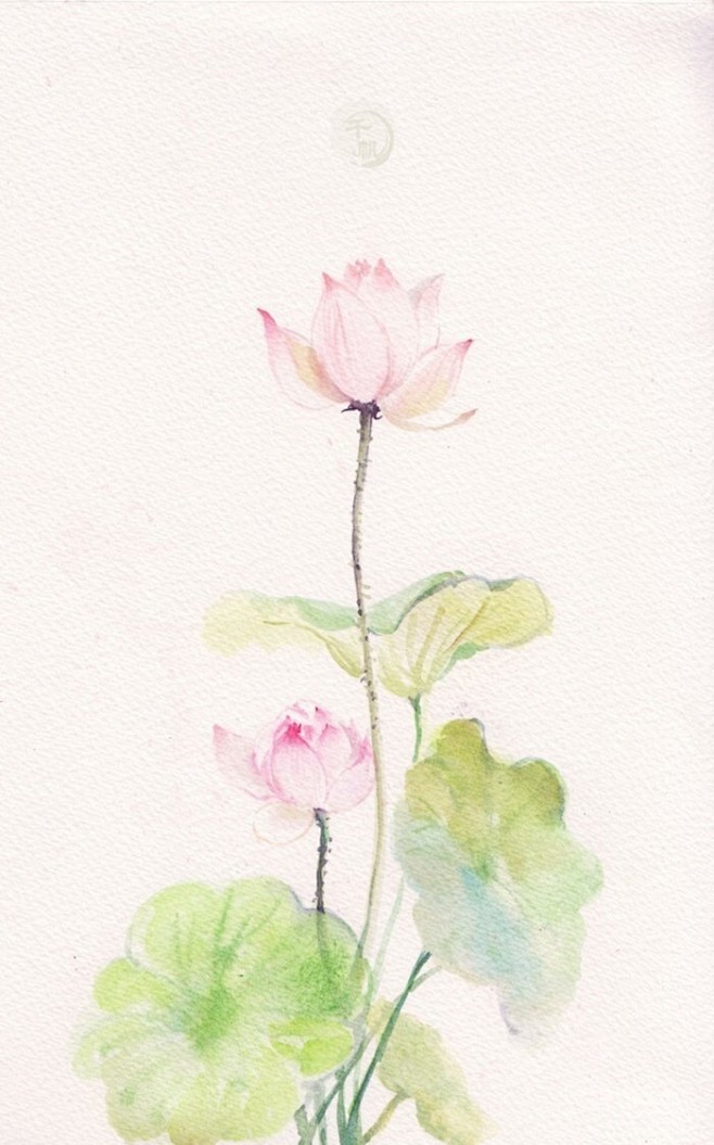 唯美古风清新荷花水彩
