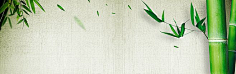 叶之无舞蝶采集到【海报banner】文艺/清新/简约