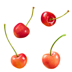 xx仙人掌xx采集到fruit