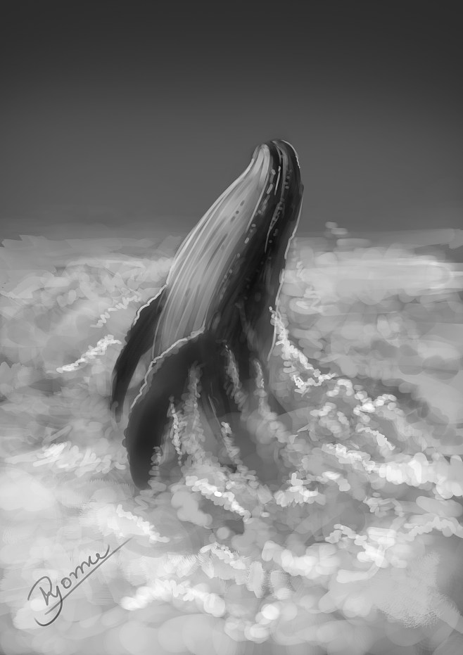 云，鲸鱼，鲸