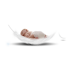 png透明合成素材