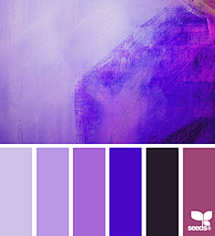 墨紫色的色板图片