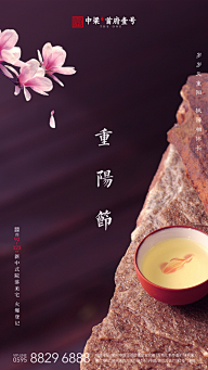 sasakie采集到节日