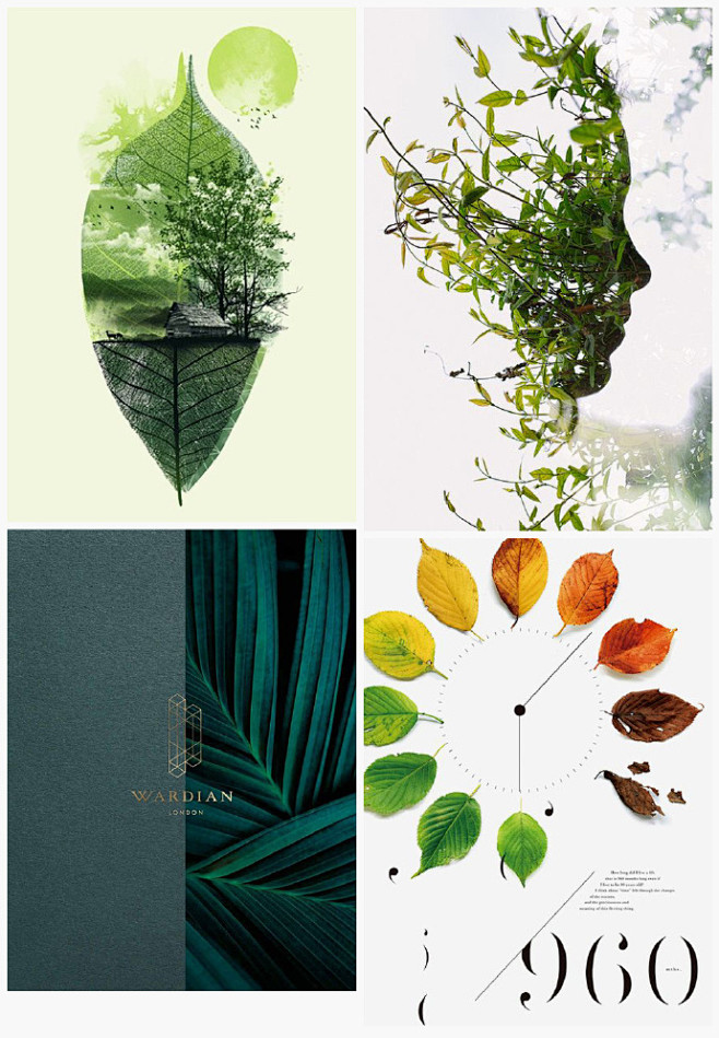 植物带来的灵感设计图片