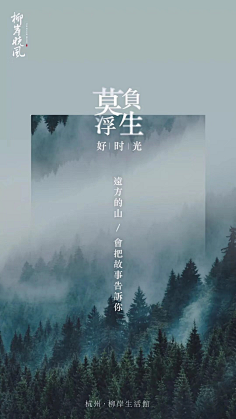 〃九命喵yo采集到【运营类】