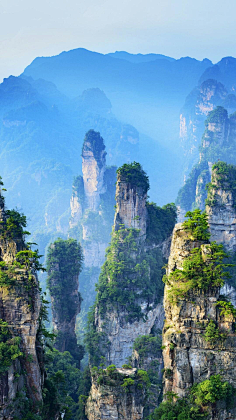 飞越人间采集到摄影