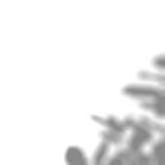 WELL_DOL采集到底纹、贴图