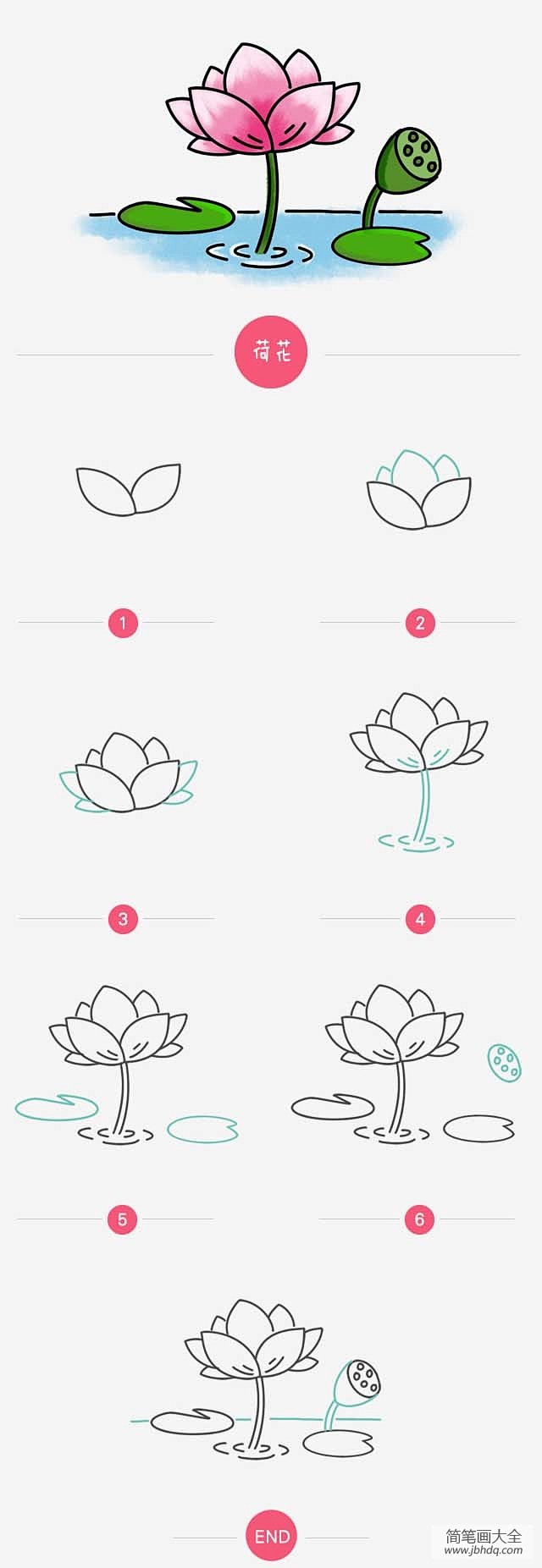简笔画教程荷花简笔画步骤图