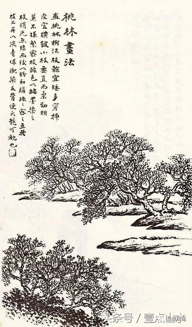 中国画白描的形式介绍了各种山水题材的画法对结构笔法构图做了深入的