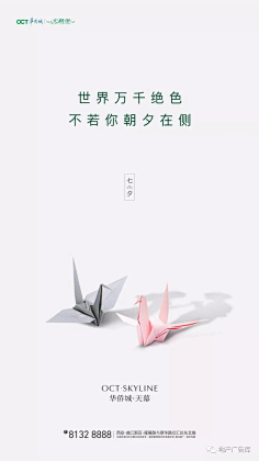 哼哼哈兮兮采集到微信秃