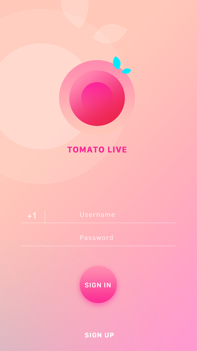 tomatoliveapplicationpagebyandreawoo北美番茄直播app粉色展示登录