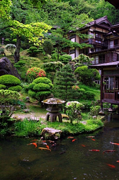 黑夜中的风采集到风景