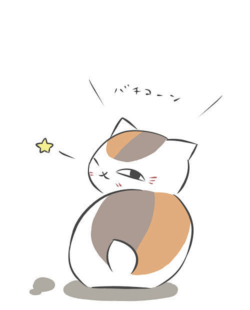 萌の猫咪老师
