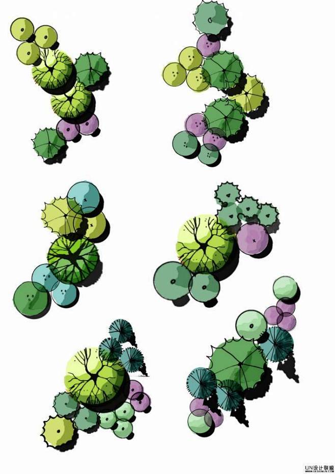 ps植物彩平_景观素材下载_秋凌景观网景观设计师培训—秋凌景观网 -