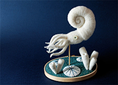 小龟雯采集到插画
