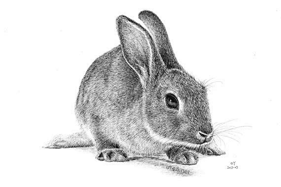 com压力山大188199从无鸣转采于2013-10-18 12:56:02手绘创想压力山大