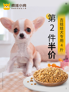 ╠所有の故事采集到宠物banner-活动页