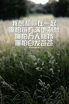 浮世未歇采集到文字控