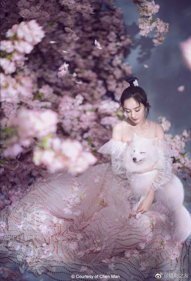 林海茵采集到陈漫作品