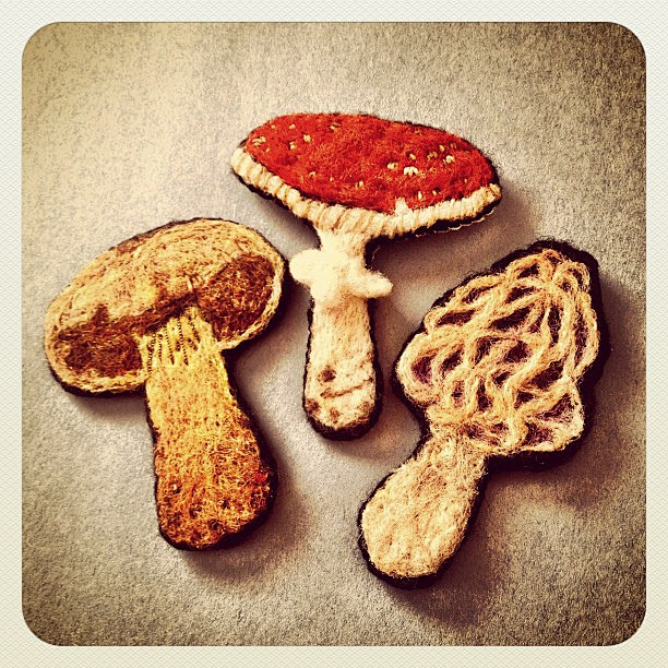 needlefeltedmushroombroochesflickr相片分享
