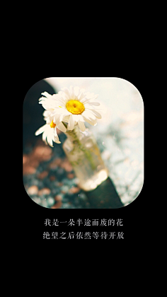 云夕潇潇采集到文心