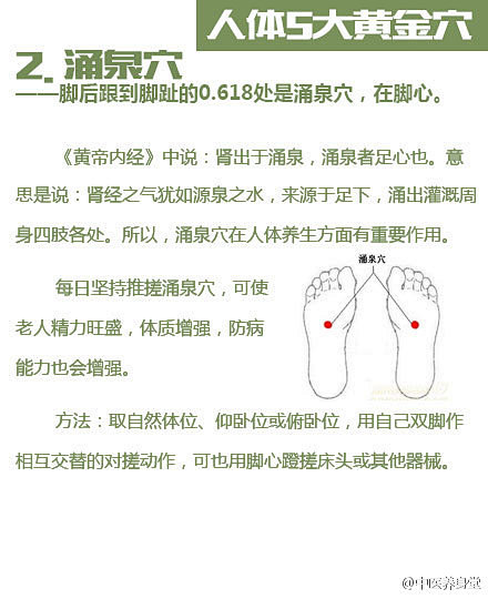 大眼仔采集到生活小百科