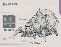Arya_1采集到设定与介绍