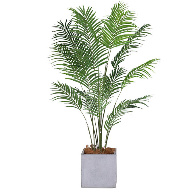 现货绿植盆栽凤尾葵北欧风大型绿植散尾葵仿真树客厅假树盆景