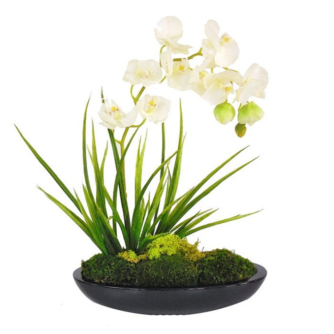 各种收集的花艺图片软装方案必备兰花篇350张11插花花艺mtbbs