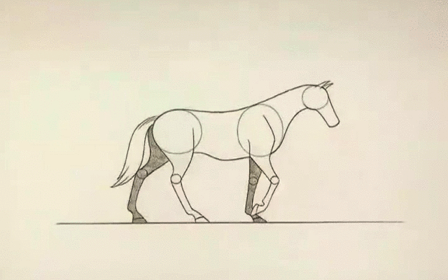 马的走路