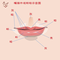 %^%*采集到五官