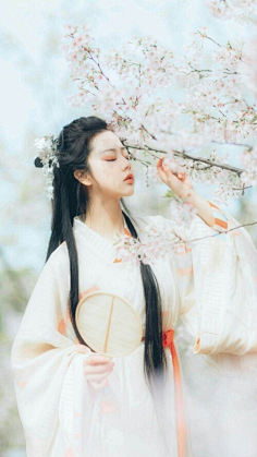 春花落尽·不曾回头采集到素闲吃“香”