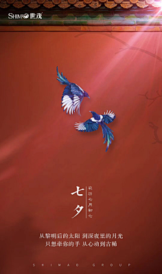 小浣熊_采集到素材