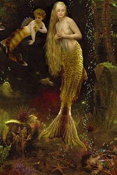 蓝月雪融采集到Mermaid