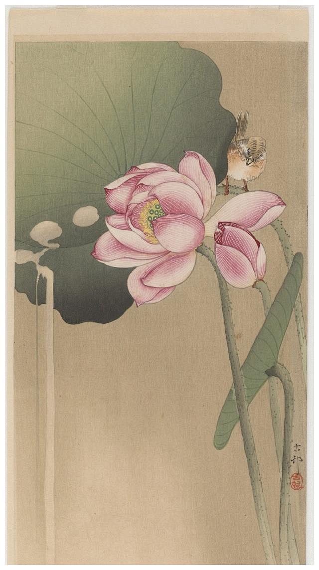 日本画家小原古邨工笔花鸟作品欣赏 小原古邨 おはらこそん Ohara 1877年 1945年 日本画家 本名小原又雄 1877年生于日本金泽 日本画家铃木华邨的学生 他的作品以花鸟 植物 动物为主 细腻逼真 色彩柔和流畅 是极为精致的室内装饰画 在美国ernest